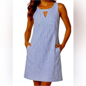 Anne Klein Blue and White Striped Dress